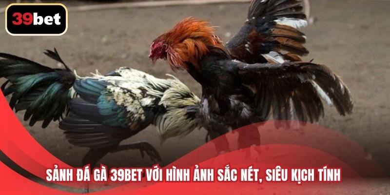 Sảnh đá gà 39BET với hình ảnh sắc nét, siêu kịch tính