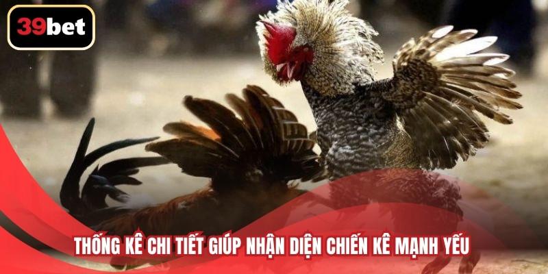 Thống kê chi tiết giúp nhận diện chiến kê mạnh yếu